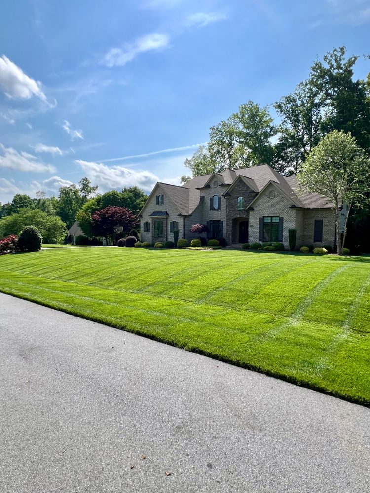 All Photos for Malboeuf Landscaping, Inc in Kernersville, NC