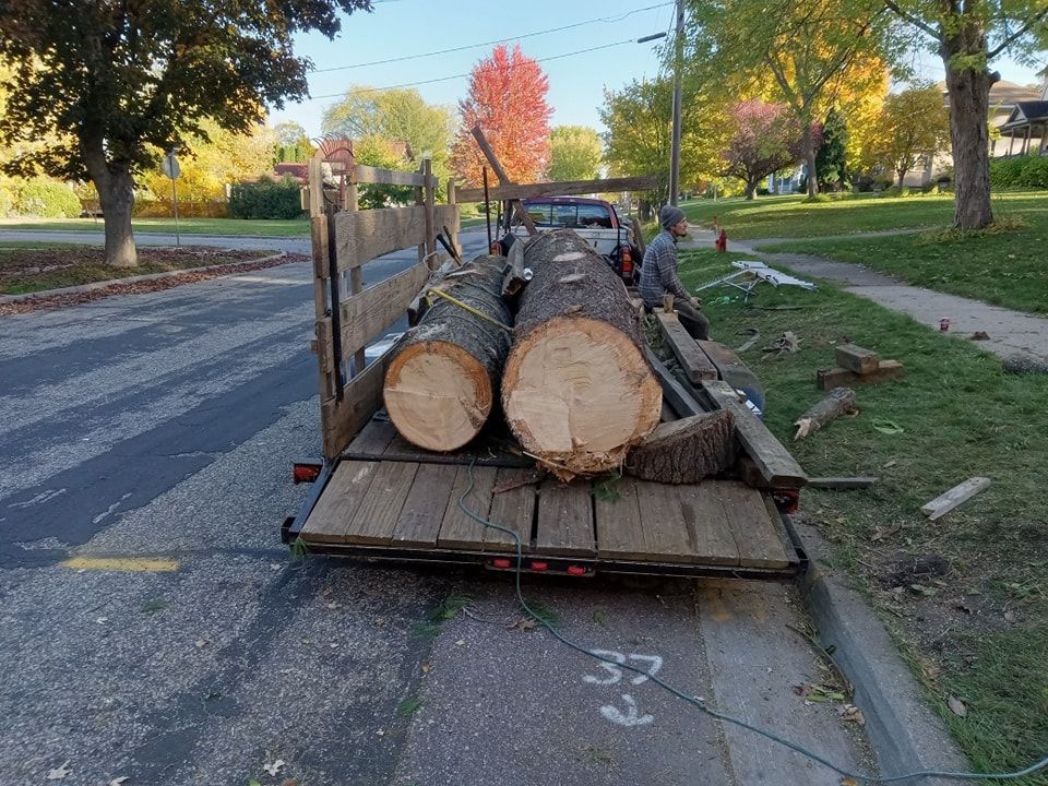 Tree Removal for A.M. Forestry LLC in Nekoosa, WI