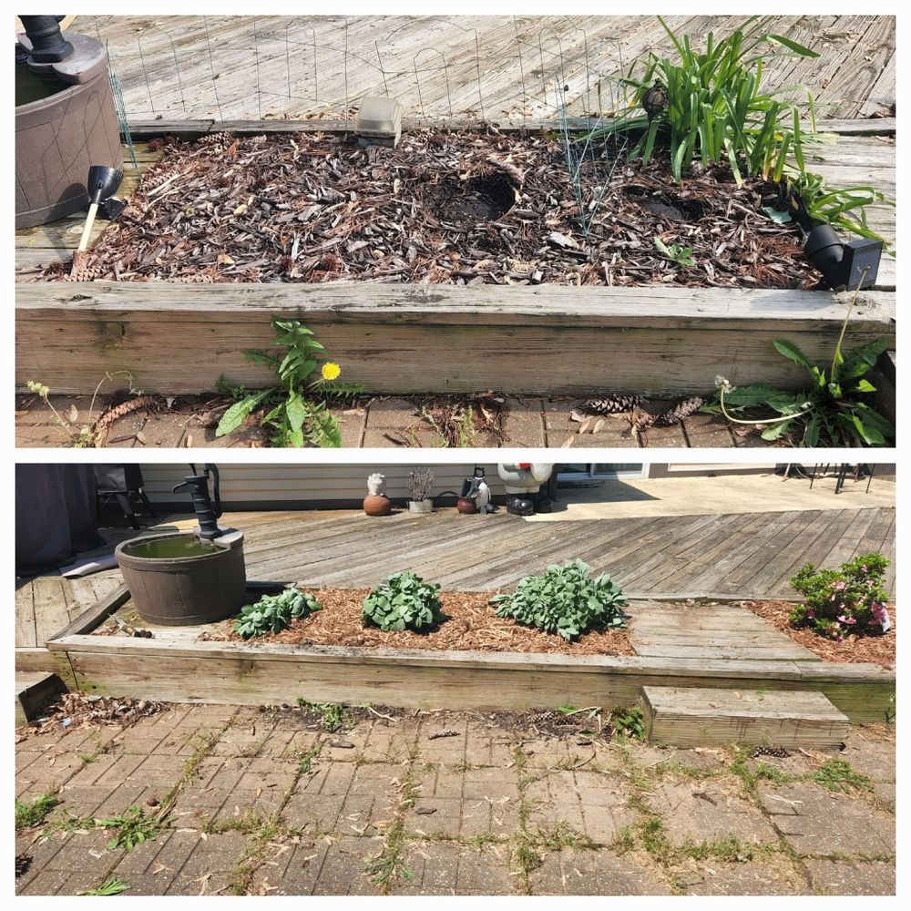 Landscaping transformations for Andrew's Lawn Service LLC in Lebanon, IL