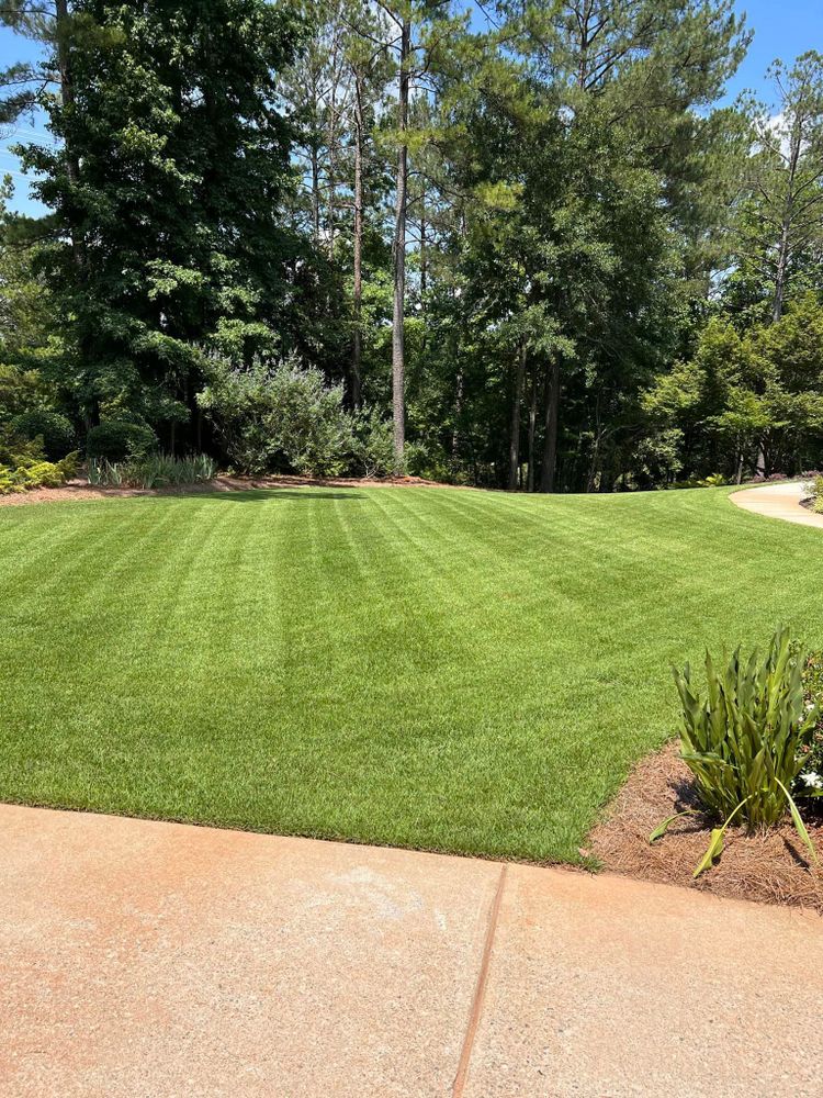 Lawn Care for Sanders Landscape & Maintenance in McDonough, GA