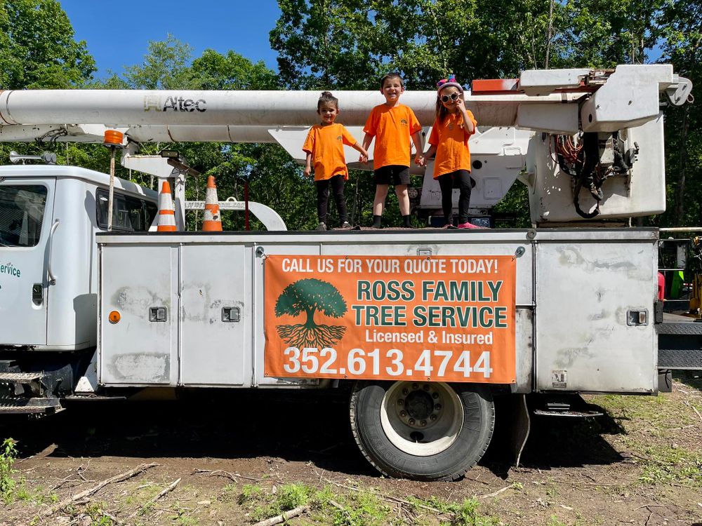 Tree Removal for Ross Family Tree Service LLC  in Hohenwald, TN