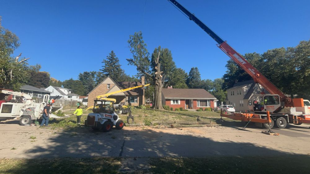 Tree jobs for Fransen's Tree Service  in Freeport, IL