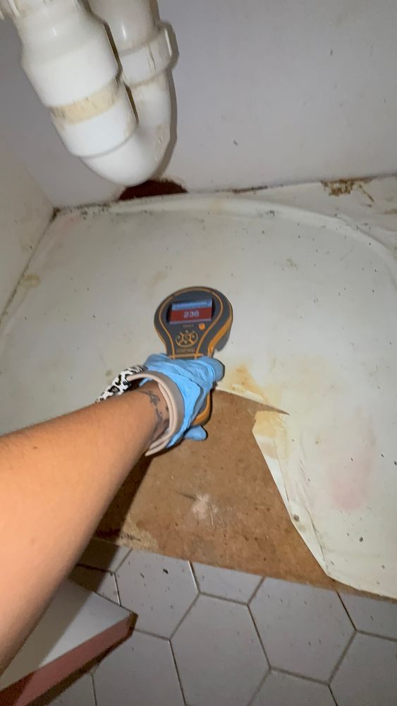 All Photos for N&D Restoration Services: When Disaster Strikes, We Come In in Cape Coral,  FL