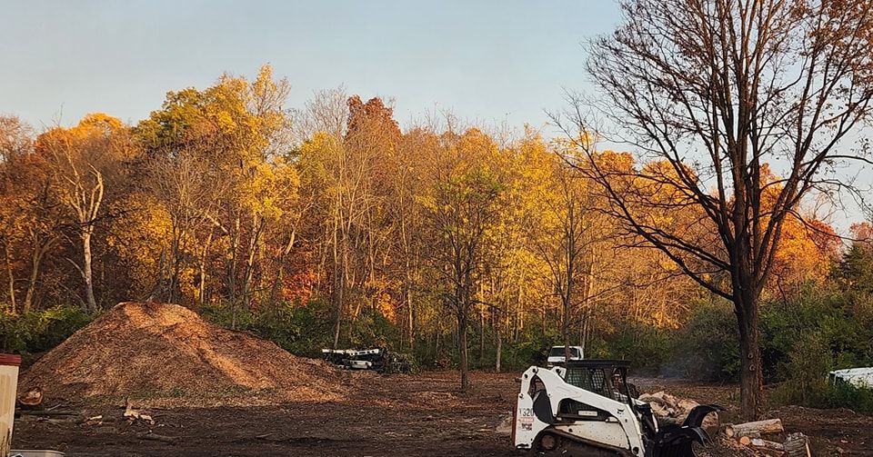 Tree Trimming and Removal for F & F Tree Service in Beavercreek, OH