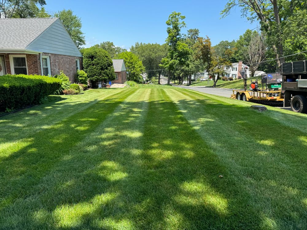 All Photos for Adams Landscaping in Springfield, MA