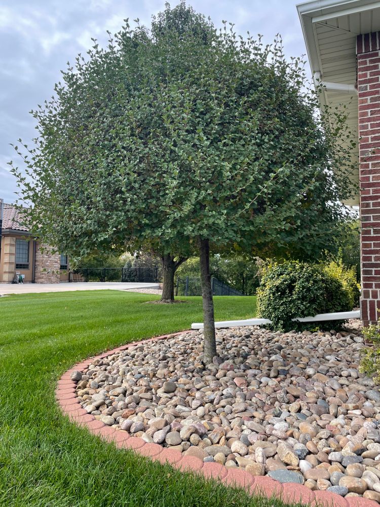 All Photos for Jacks Lawn & Landscape LLC  in Hastings, NE
