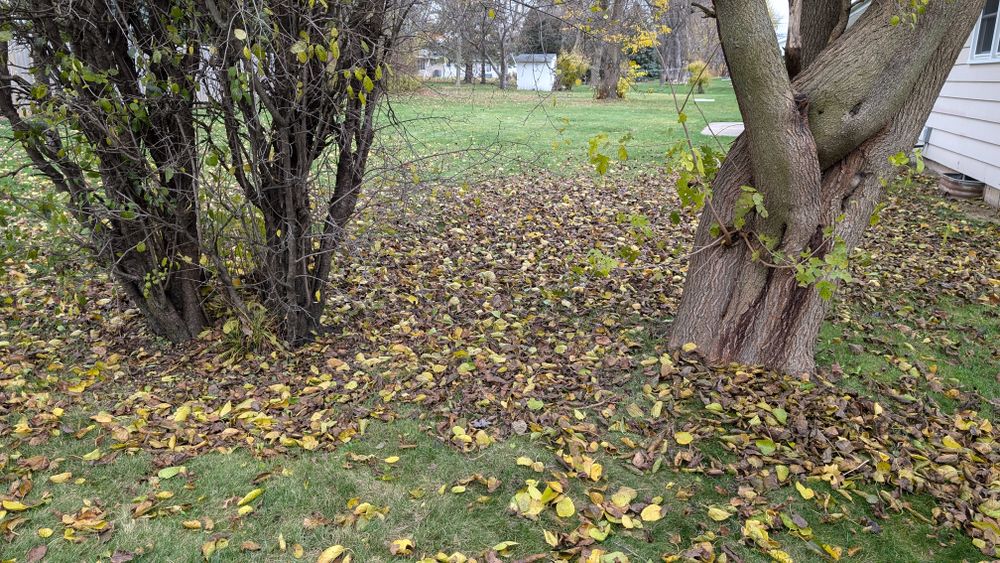 All Photos for TCB Lawn Care & Snow Removal in Sun Prairie, WI