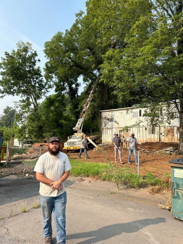 Tree Removal for Lance Tree Service in Tellico Plains ,  TN