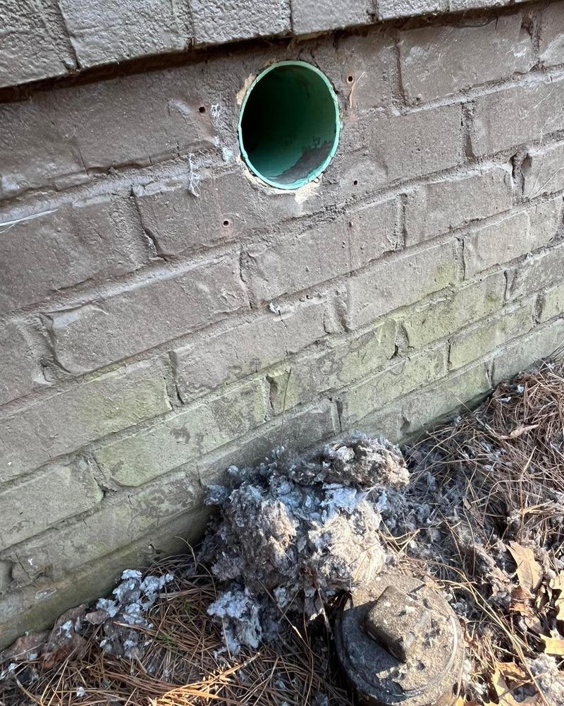 All Photos for Honey Do Oxford Pressure Washing and Soft Washing in Oxford, Mississippi