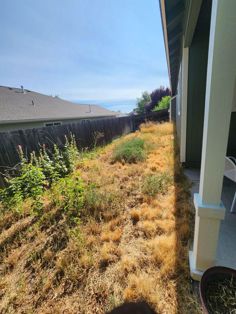 All Photos for Bernal's Lawn Care/Tree Service in Klamath Falls,  OR