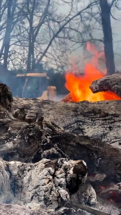 All Photos for Southeast Aquatic Land Services LLC  in Waycross, GA