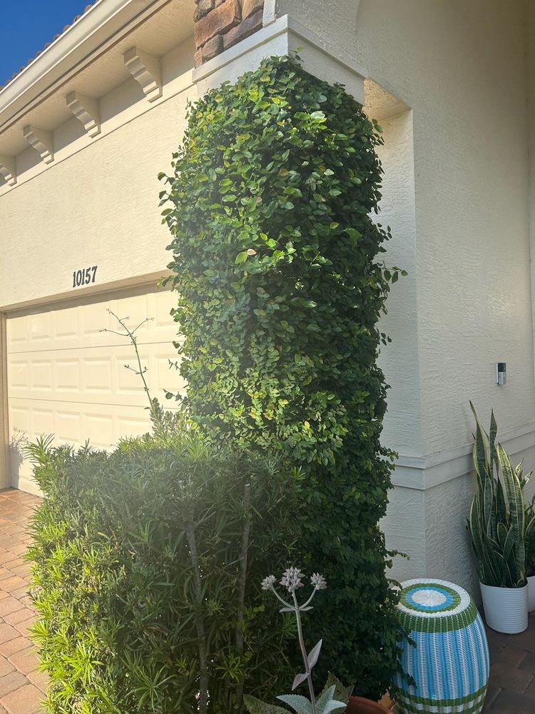 All Photos for Valdez Landscaping and Lawn Services in Port St. Lucie, FL