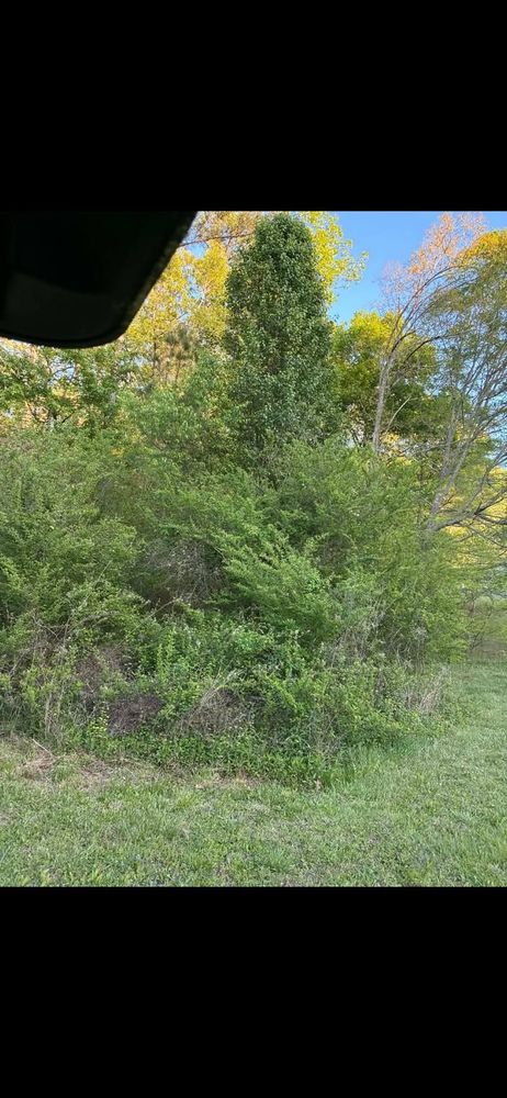 All Photos for Big C Land Management in Anniston, AL