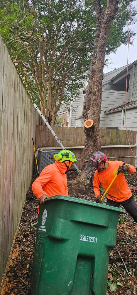 All Photos for Servin's Tree Care  in Houston, TX