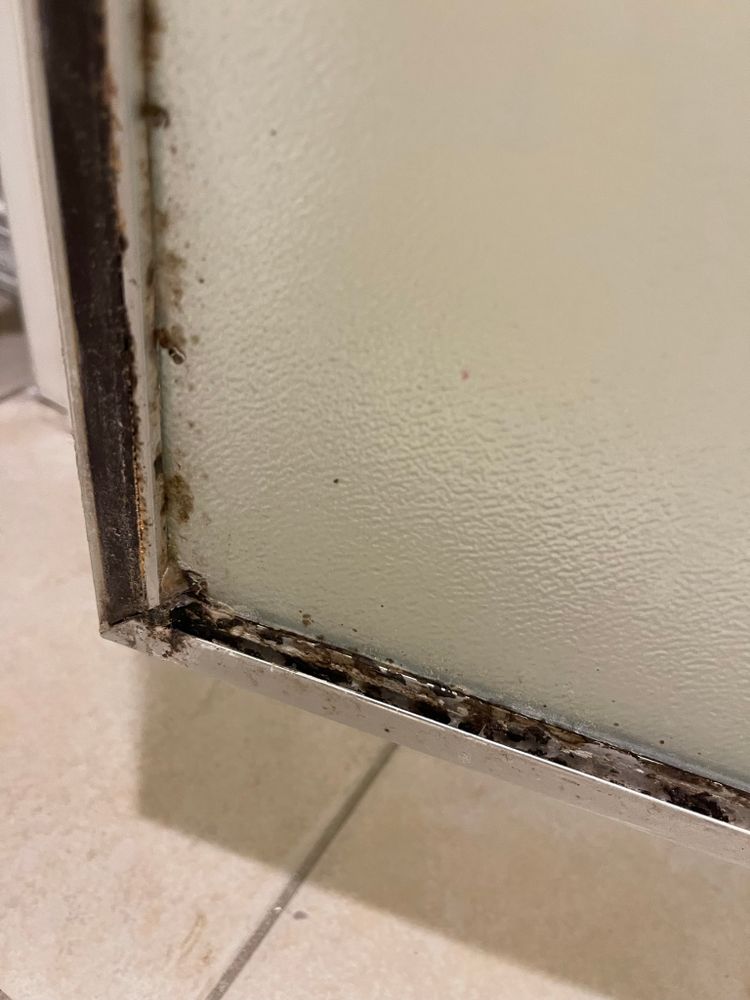 All Photos for Tony's Remodeling & Painting in Renton, WA