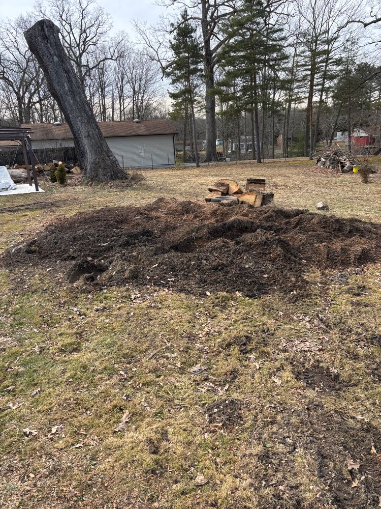 All Photos for Dean's Stump Removal in Youngstown, OH