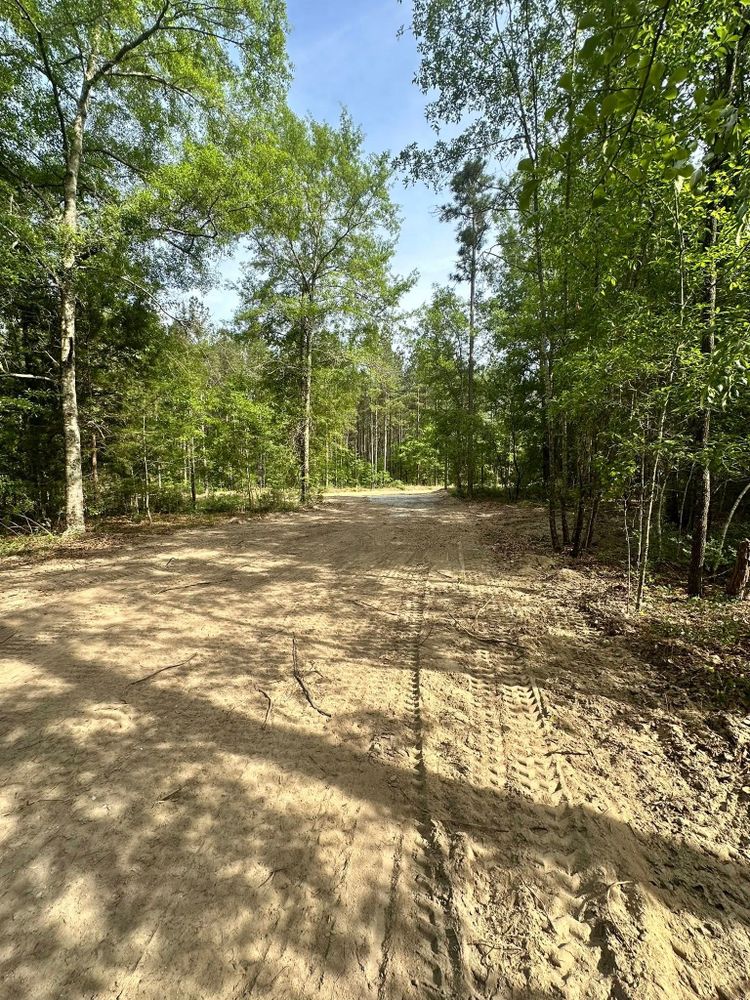 Tree Removal for Page Outdoor Services in Wrightsville, GA