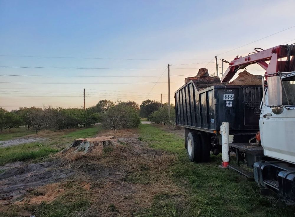 Our Debris Removal service ensures your property is pristine after tree removal, efficiently clearing fallen branches, leaves, and debris to keep your home safe and visually appealing. for Regal Tree Service and Stump Grinding in Wauchula, FL