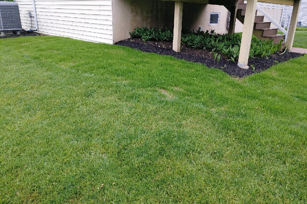 Turf Care for Conoy Acres Lawn Service in Elizabethtown, PA