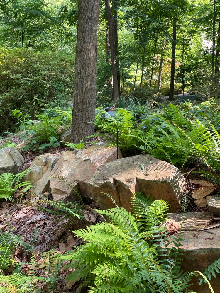 All Photos for Christina King Landscape Design in West Raleigh, NC