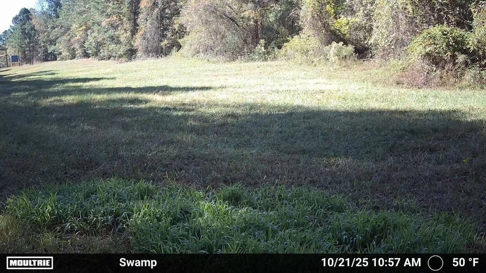 All Photos for Southern Stronghold Earthworks in Benson, NC