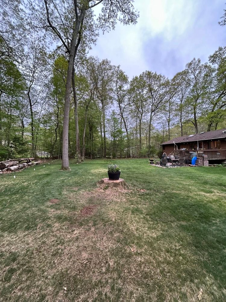 Emergency Tree Services for DC TREE in Vernon, CT