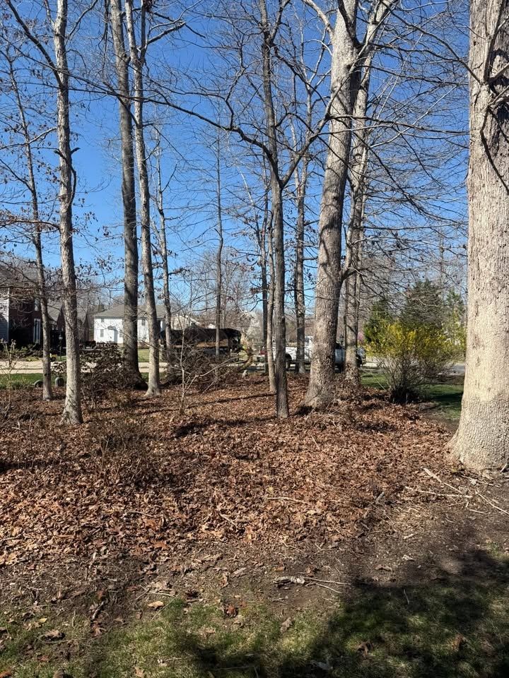 All Photos for C + C Landscaping in Chesterfield, VA