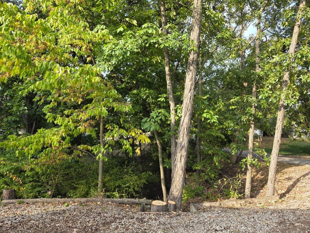 All Photos for Lawn Ranger Yard And Tree Service LLC in Ottumwa, IA