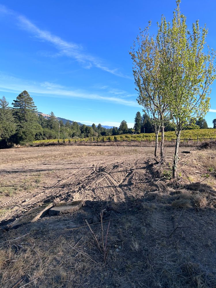 All Photos for J. Orozco & Sons Ent in Philo, CA