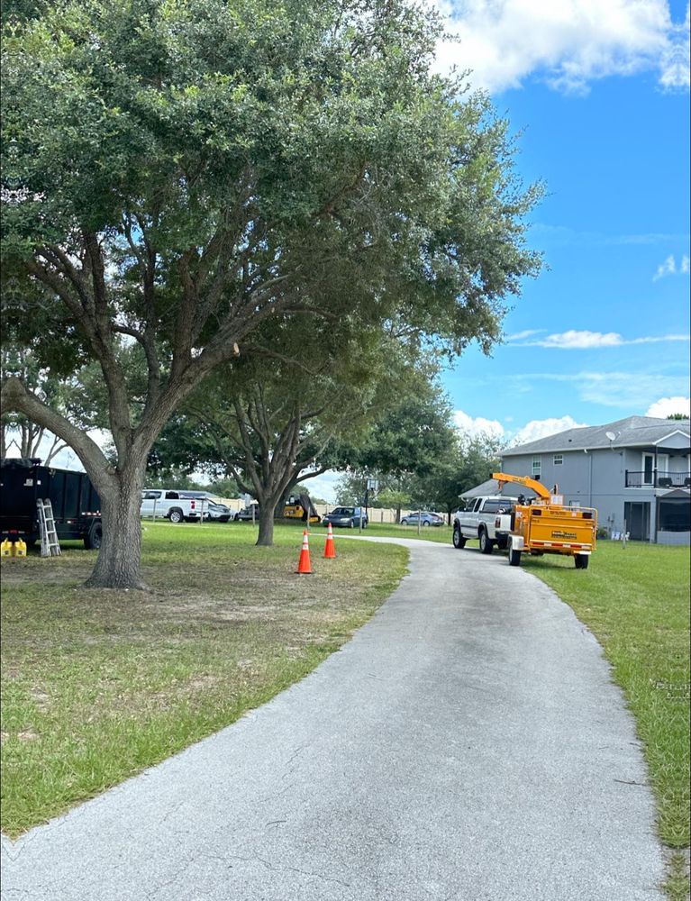 Tree Removal for A-1 Arbor Tech in Groveland, FL