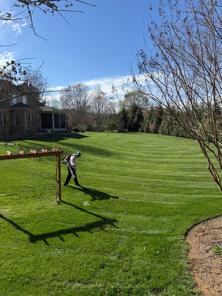 All Photos for Blue Sky Turf in Monroe, NC
