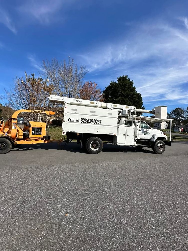 Tree Service for Platinum Outdoor Services LLC in Conover, NC