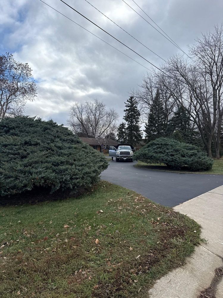 All Photos for Fransen's Tree Service  in Freeport, IL