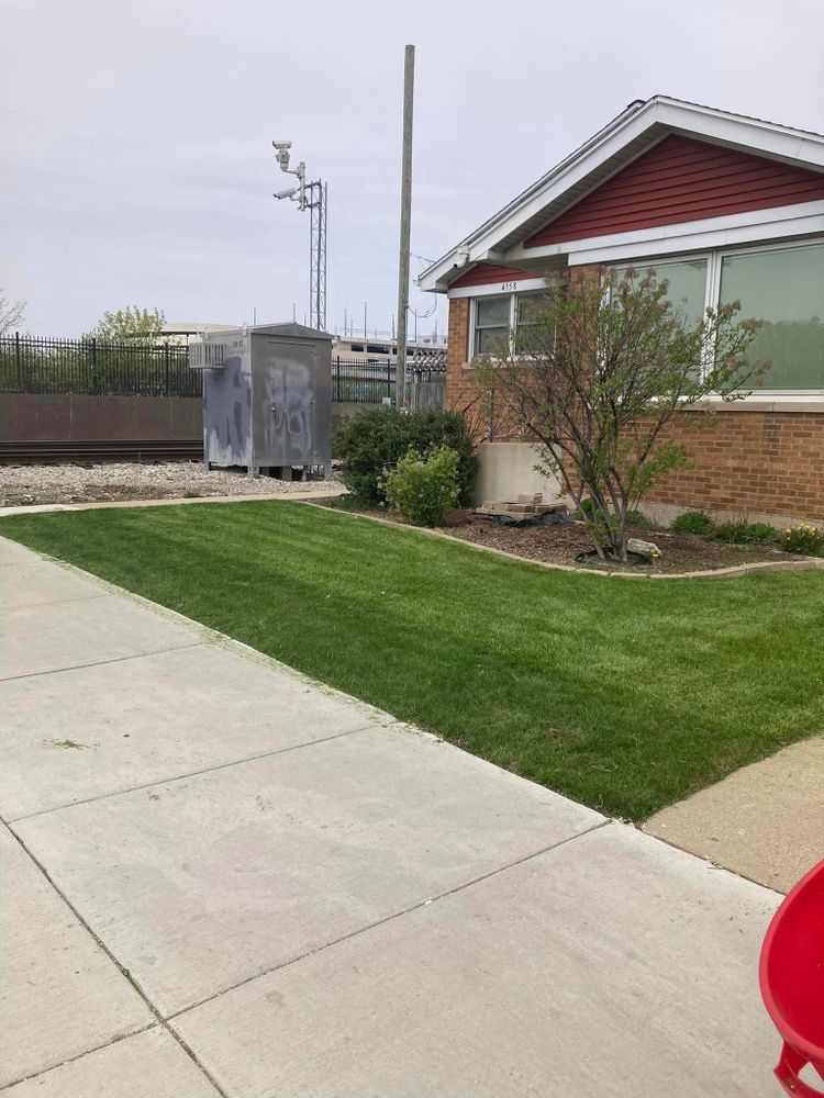 Landscaping for Superior Lawn Care & Snow Removal LLC  in Chicago, IL