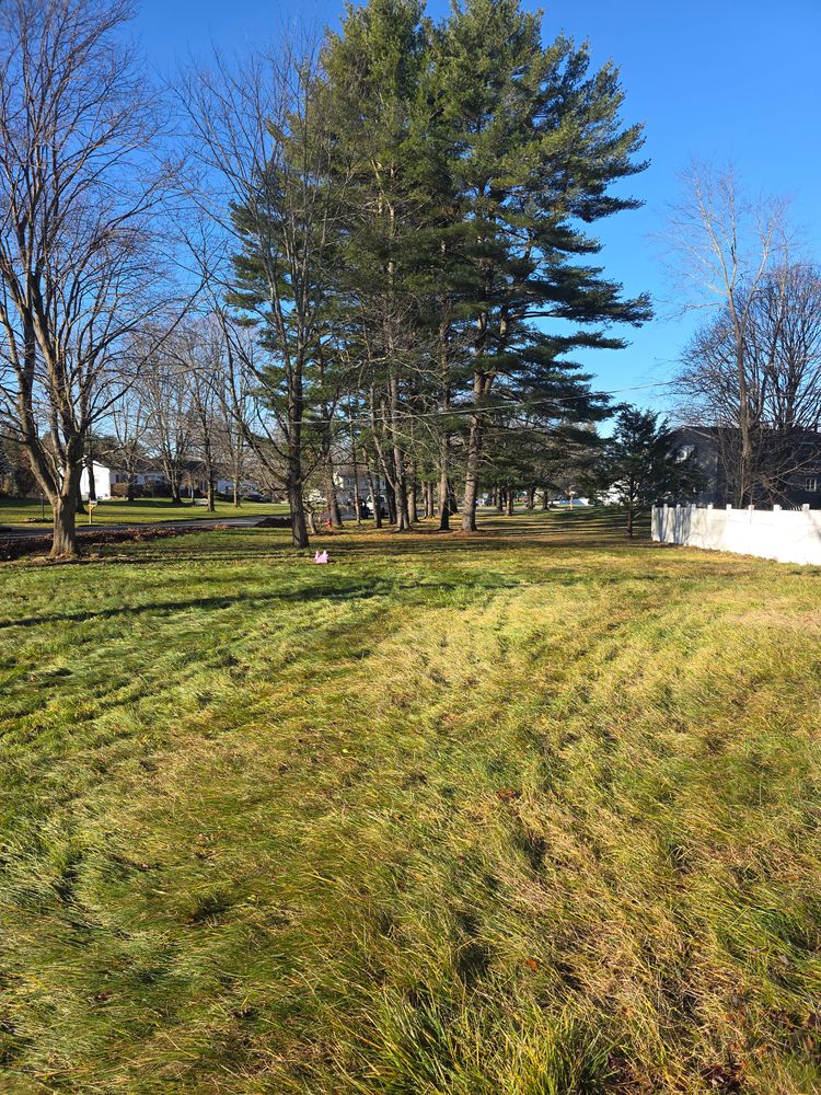 All Photos for Sweet Scapes in Ballston Spa, NY