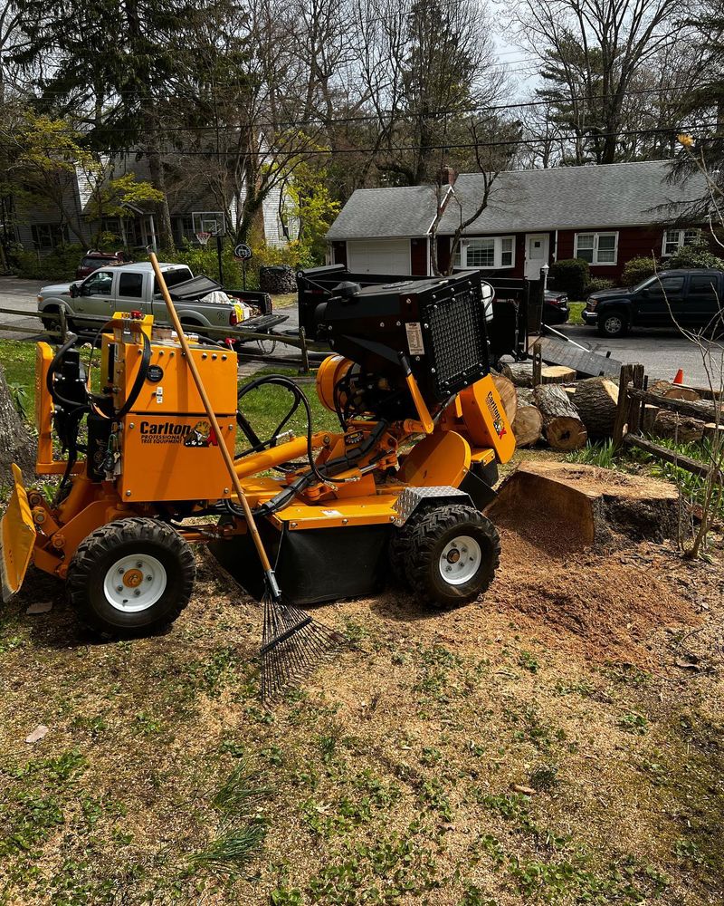 All Photos for Gold Coast Tree Experts in Nassau County, NY