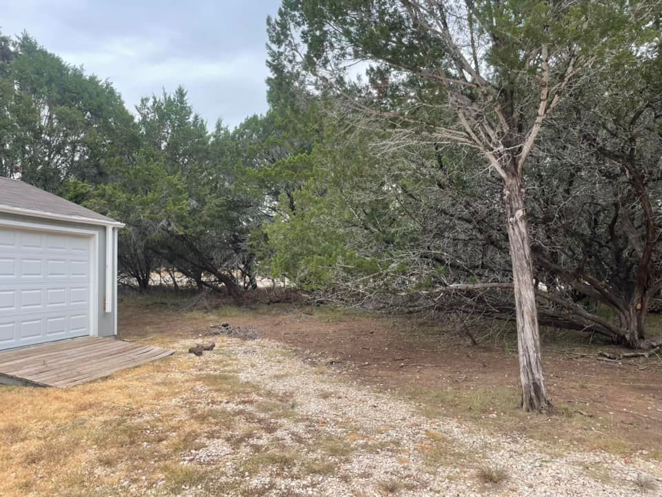 Tree Removal for Z’s Trees LLC in Grey Forest, TX