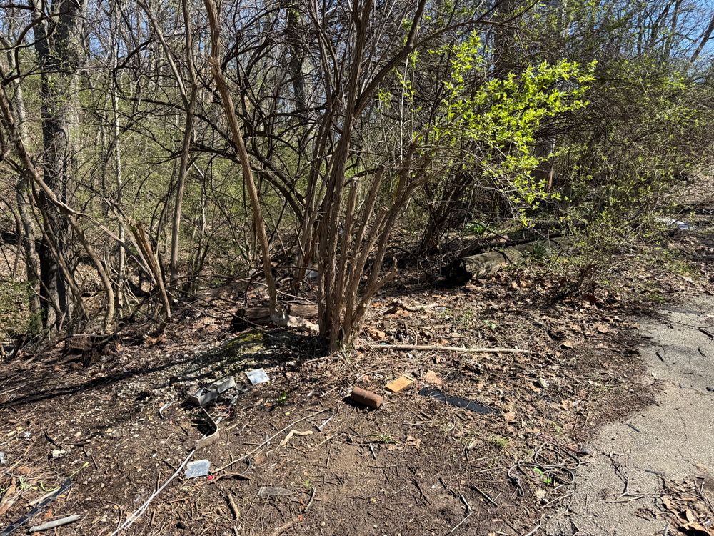 All Photos for A1 Bush Hogging & Lawn Service in London, OH