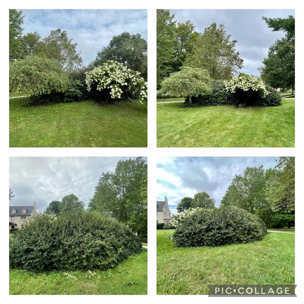 All Photos for Bishop’s Property Maintenance in Franklin, VT