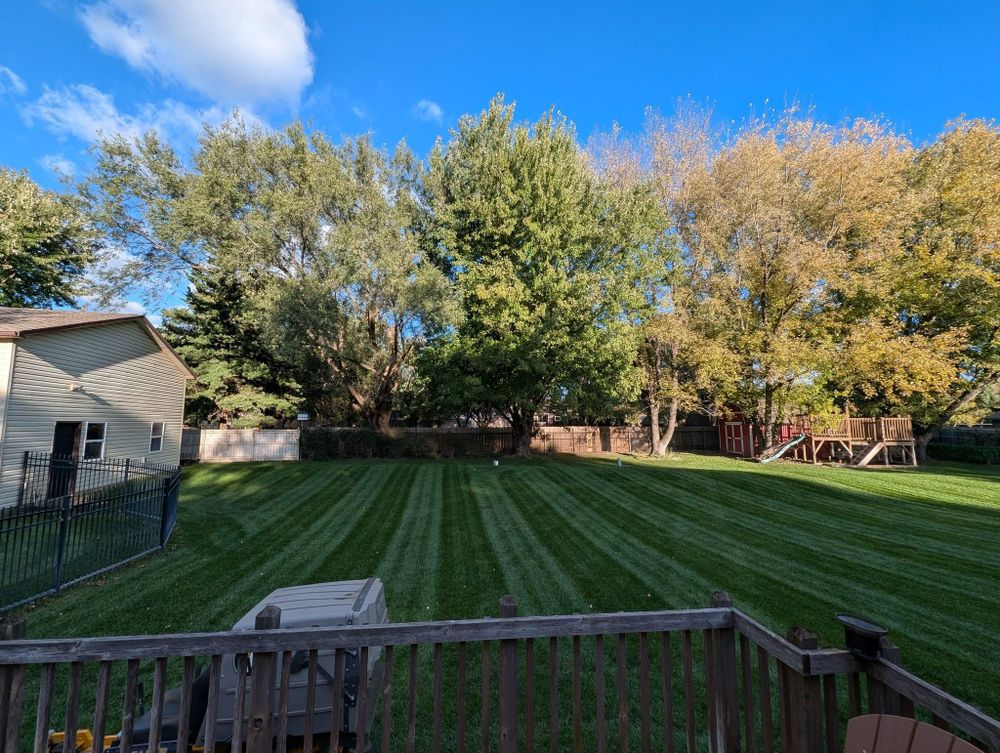 All Photos for Gavin's Lawn Maintenance in Derby, KS