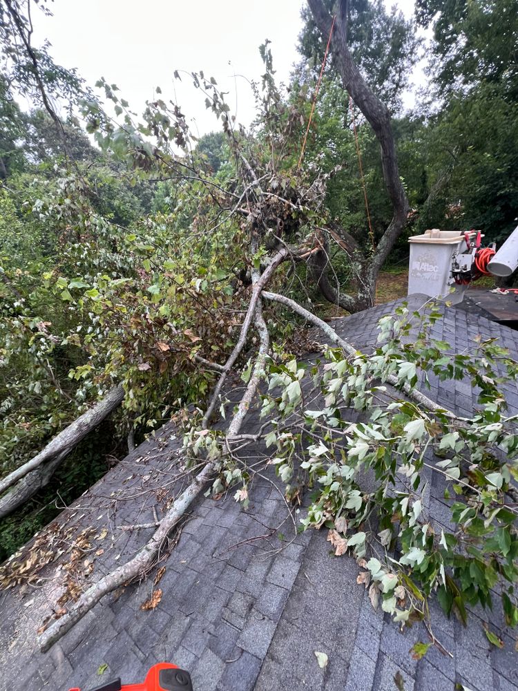 All Photos for Brooks Tree Service in Casar, NC