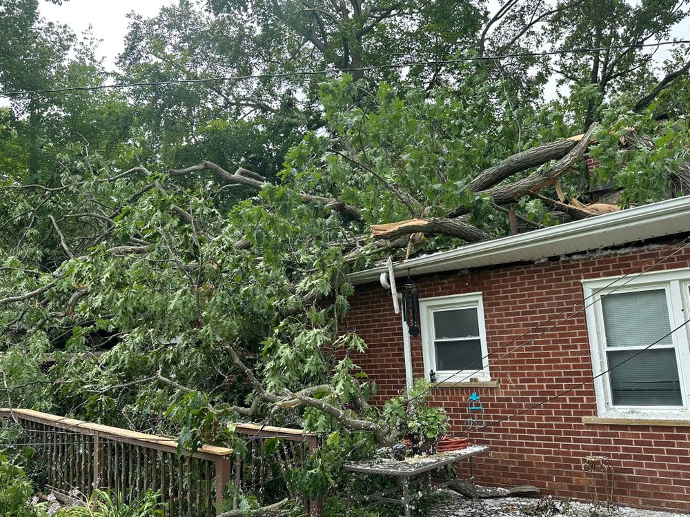 Tree Removal for DGD Outdoor Services LLC in Howell, MI