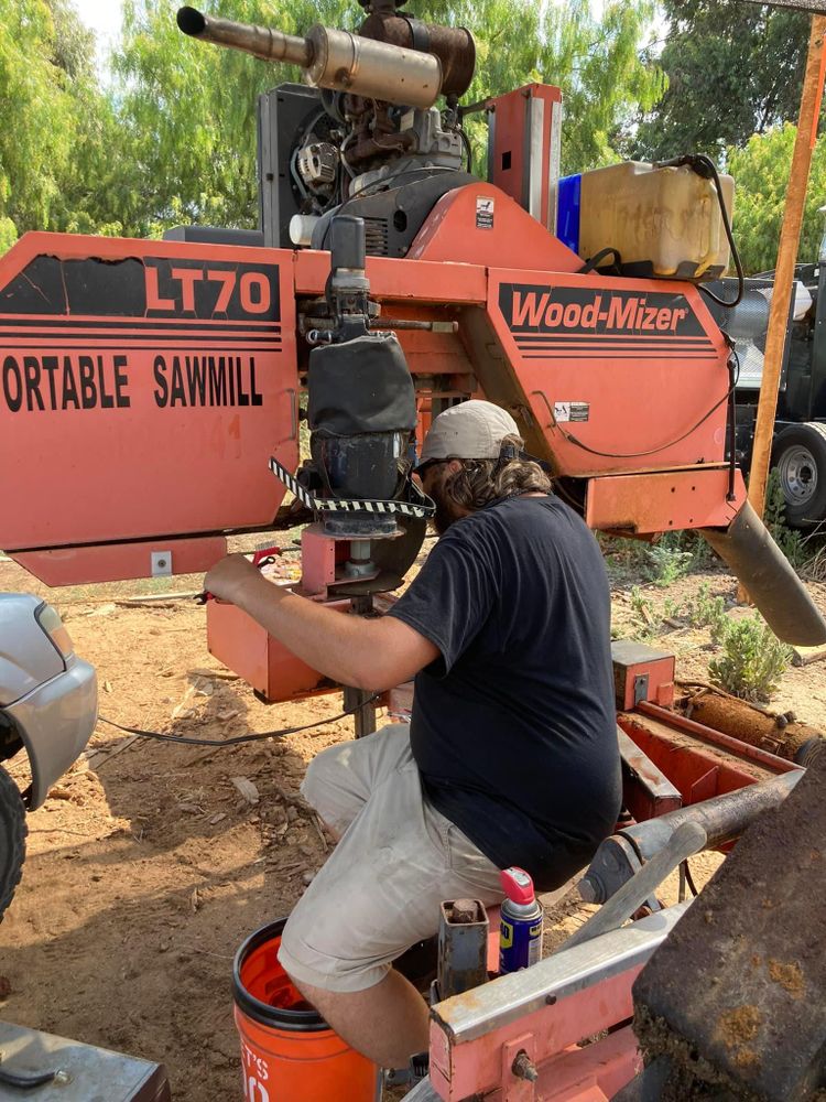 Property Clean Up for The Tree Fairy in Temecula, CA