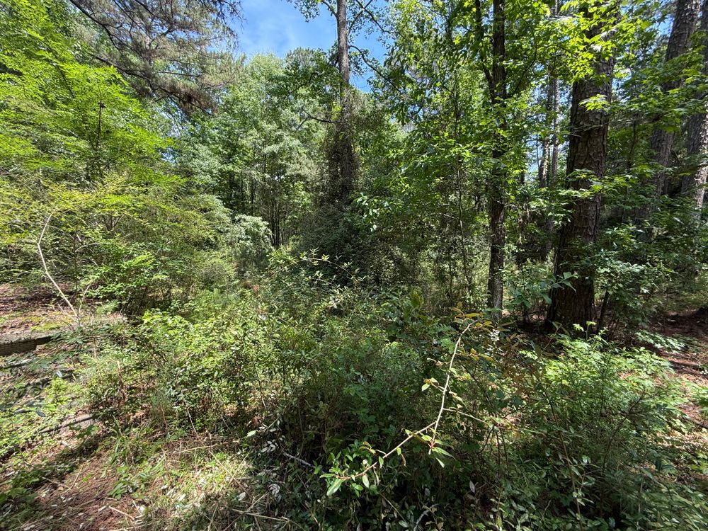 Clearing and mulching for Koelbl Site Works LLC in Fayetteville, GA