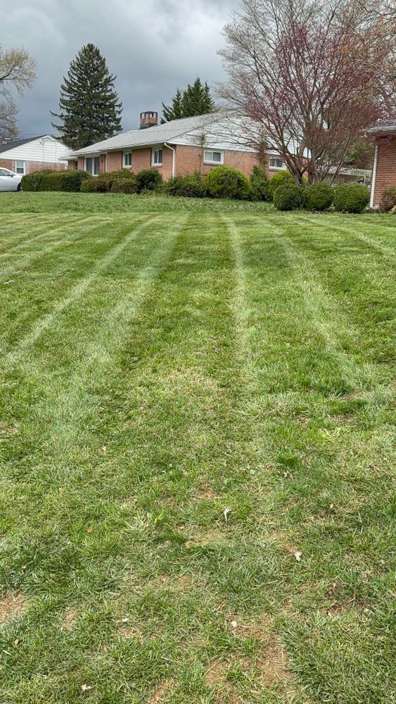 All Photos for Walsh Lawn And Landscape in Olney, MD