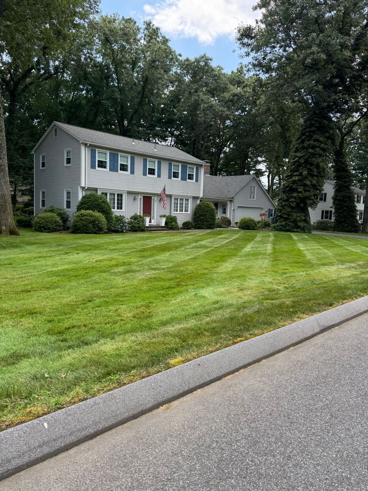 All Photos for Adams Landscaping in Springfield, MA