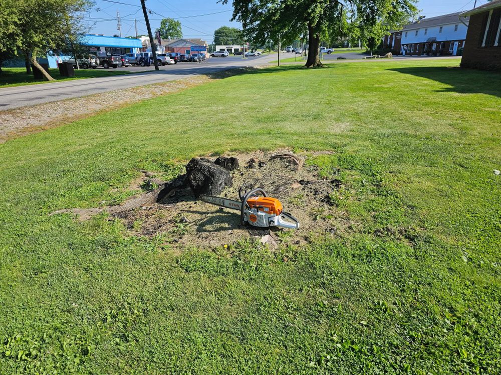 Our Tree Removal service provides safe, efficient removal of unwanted or hazardous trees from your property, enhancing safety and aesthetics while ensuring minimal disruption to your landscape. for I and R Stump Grinding in Thornville, OH