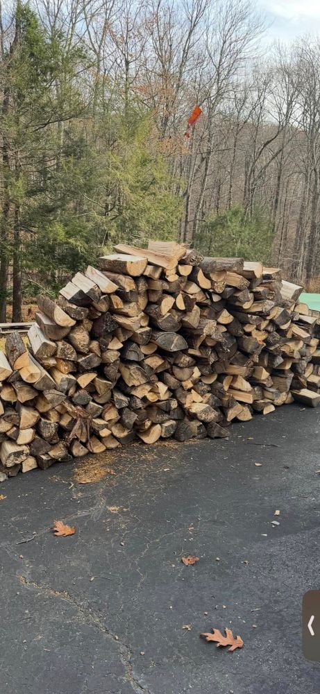 Stump Removal for Jills Stump Grinding and Firewood in Shelton, CT