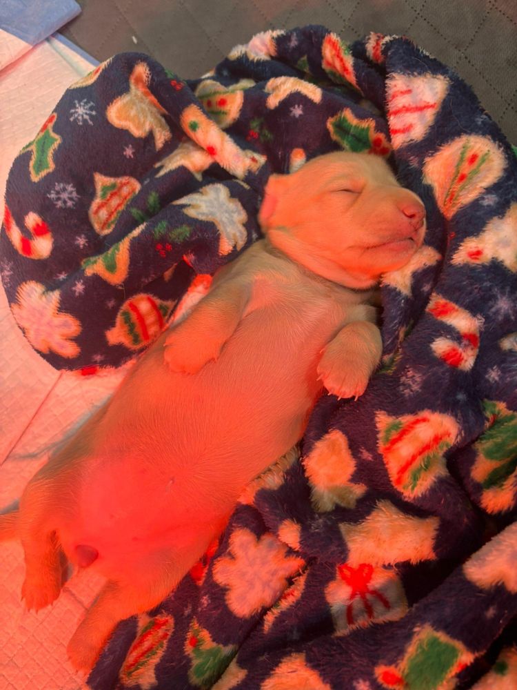 All Photos for Falls Property Services  in Idaho Falls, ID