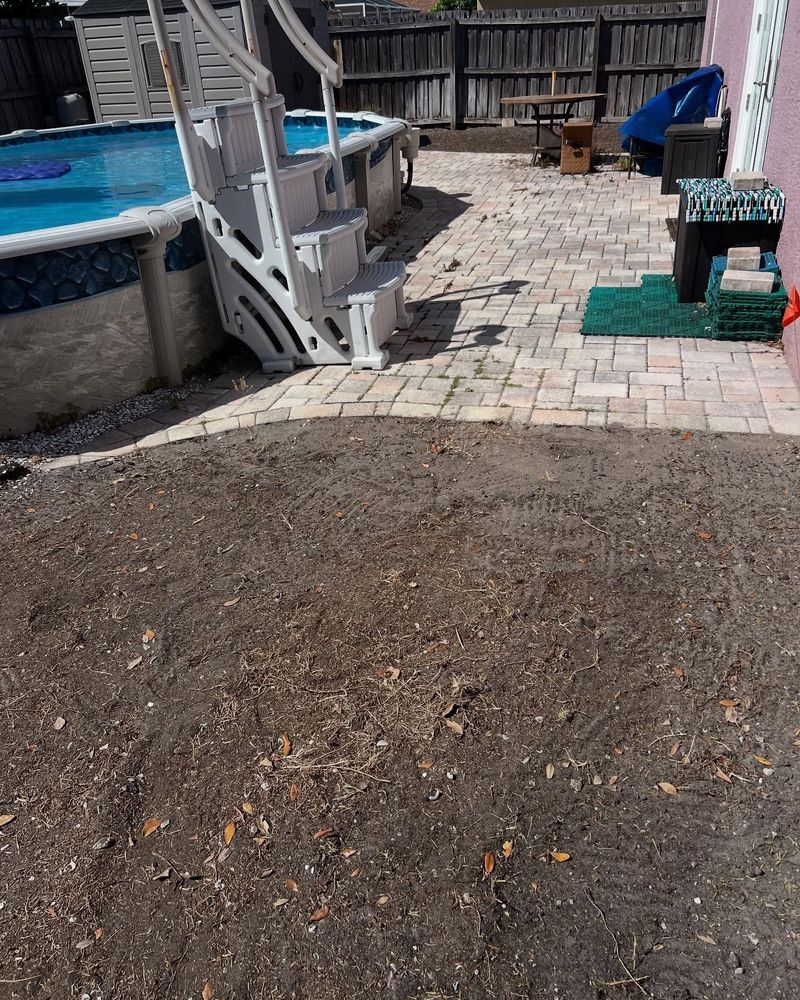 Fall Clean Up for AGT Landscape & Design LLC. in Saint Petersburg, FL